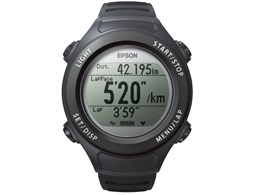 WristableGPS SF-110