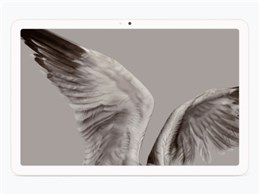 Google Pixel Tablet Wi-Fif 256GB P̔