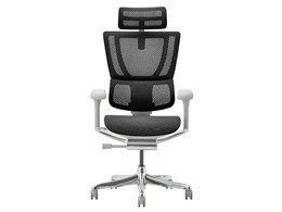 Ergohuman FIT2 FIT2-HAM-DR-GF