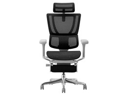 Ergohuman FIT2 Ottoman FIT2-LPL-DR-GF