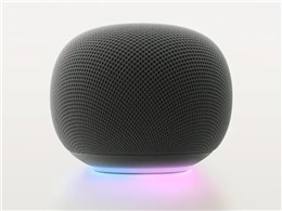 Google Home �X�s�[�J�[