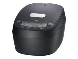 �������� JPV-L100
