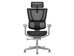 Ergohuman FIT2 FIT2-HAM-5D-DR-GF