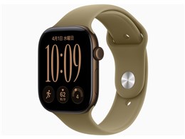 Apple Watch Series 12 GPS���f�� 46mm �X�|�[�c�o���h S/M