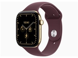 Apple Watch Series 12 GPS+Cellular���f�� 46mm �`�^�j�E���P�[�X�E�X�|�[�c�o���h S/M