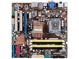 P5QPL-VM