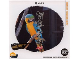 �n���f��100 ��Vol.3