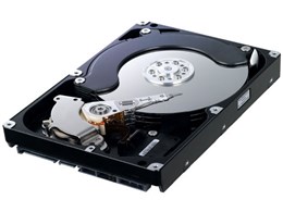HA252HI (250GB SATA300 5400)