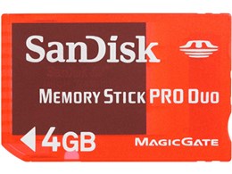 SDMSG-4096-P36 (4GB)