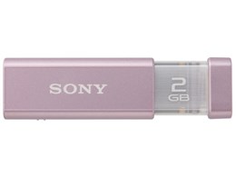 |Pbgrbg USM2GL-P (2GB)