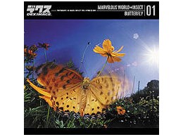 DEX-SH ���ٓI�Ȓ��̐��E 01 ��