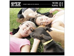 DEX-SH THE DOG 01 PLAYFUL