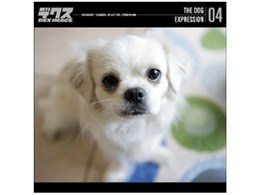 DEX-SH THE DOG 04 EXPRESSION