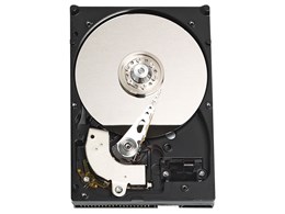 WD3200AAJB (320GB U100 7200)
