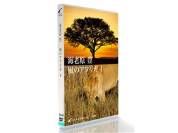 �O�����C���[�W K654 �C�V���L�E���̃A�t���J 4