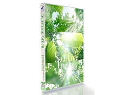 �O�����C���[�W A505 Sunshine Green