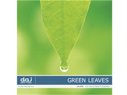 �ʐ^�f�� DAJ digital images 035 GREEN LEAVES [�t���b�V���ȐV�΃C���[�W]