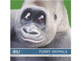 �ʐ^�f�� DAJ digital images 300 FUNNY ANIMALS [�������ȓ����B]