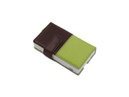 |PbgubN DS Lite C