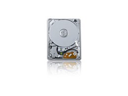 MK8022GAA (80GB 5mm)