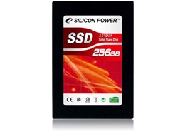 SP256GBSSD650S25