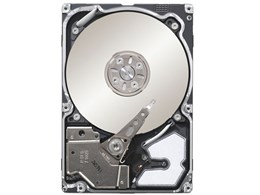 ST9300603SS (300G 10000 SAS2.0)