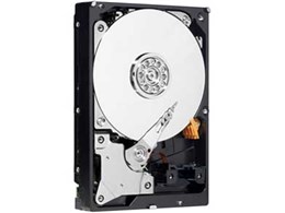 WD20EVDS (2TB SATA300)