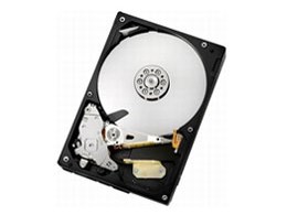 HCS5C1025CLA382 (250GB SATA300)