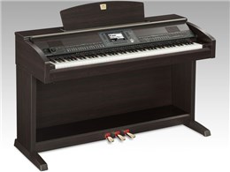 Clavinova CVP-503