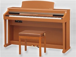 DIGITAL PIANO CA63