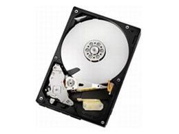 HDS721050CLA362 (500GB SATA300 7200)