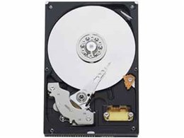 WD800AAJB (80GB U100 7200)