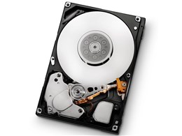 HUS156045VLS600 (450GB 15000 SAS2.0)