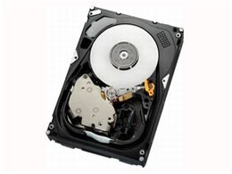 HUS156030VLS600 (300GB 15000 SAS2.0)