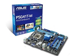 P5G41T-M