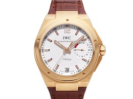 �r�b�O�E�C���a���j�A IW500503