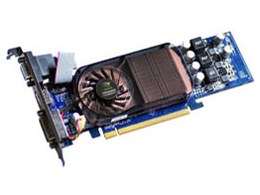 GF-GT240-LE1GHD/D3 (PCIExp 1GB)