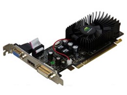 GF-GT220-LE1GHD/D3 (PCIExp 1GB)
