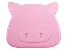 PIG USB/AC ADAPTER BI-USBACPIG/P