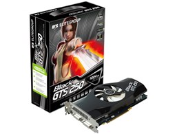 NBGTS250E-1GMU-F (PCIExp 1GB)