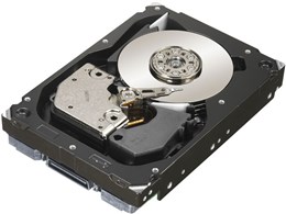 ST3600002SS (600GB 10000 SAS2.0)