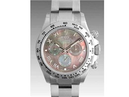 fCgi 116509NR(ubNVF)[} ICX^[uXbg