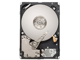 ST9600204SS (600GB 10000 SAS2.0)