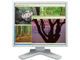 FlexScan S1921-XSHGY [19C`]