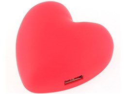 Angel Heart AC Adaptor BI-USBACHEART/S