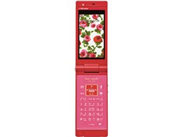 docomo STYLE series P-05B
