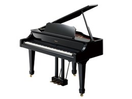 Roland Piano Digital RG-3F