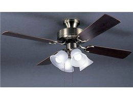 LFAN-29409