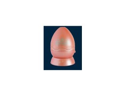 z[X^[ BIRTHDAY [1 K[lbg]