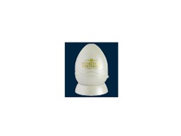 z[X^[ BIRTHDAY [4 _Ch]